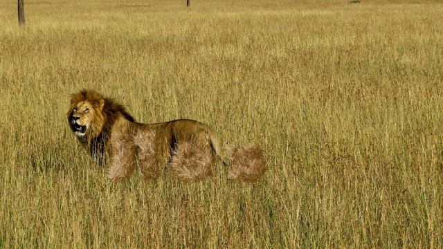 пушистый текст со львом смотреть онлайн