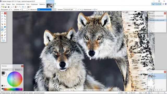 Paint.net работа с фотографиями, картинками, изображениями! смотреть онлайн