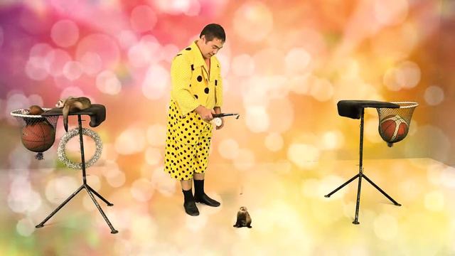 шоу харьков смотреть онлайн