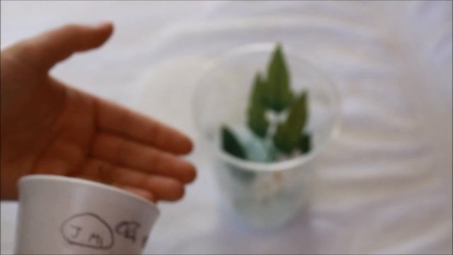 Unboxing my NEW SECRET PETS! смотреть онлайн