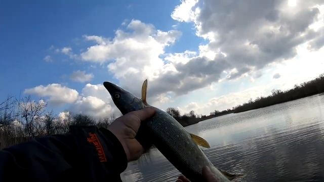 ЛОВЛЯ ЩУКИ ВЕСНОЙ! джиг, троллинг, воблер, силикон. смотреть онлайн