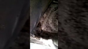 Лада калина .не включается задняя скорость