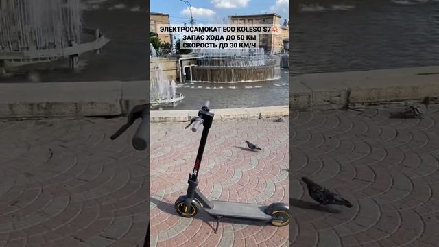 Распродажа электросамокатов Eco Koleso S7. Доставка по всей стране из Новосибирска смотреть онлайн