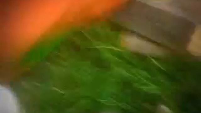 похмелка смотреть онлайн