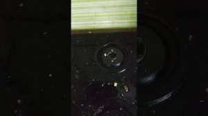 Как очистить стеклянную варочную поверхность от нагара без царапин за 20 минут