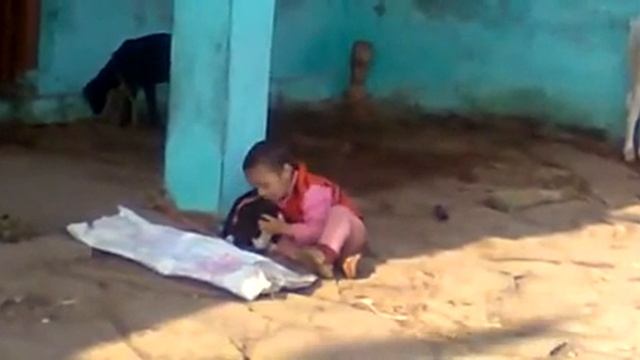 Lovers League | Best gifts for animal lovers смотреть онлайн