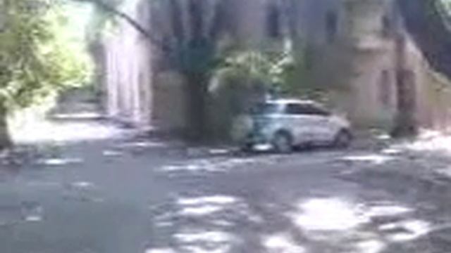 На машину упало дерево Одесса