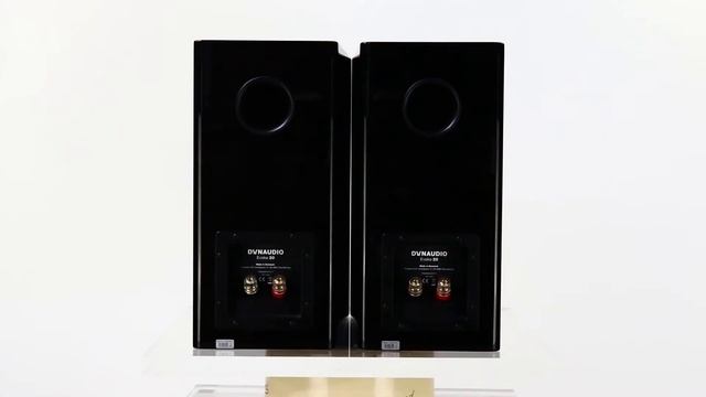 Dynaudio Evoke 20 смотреть онлайн