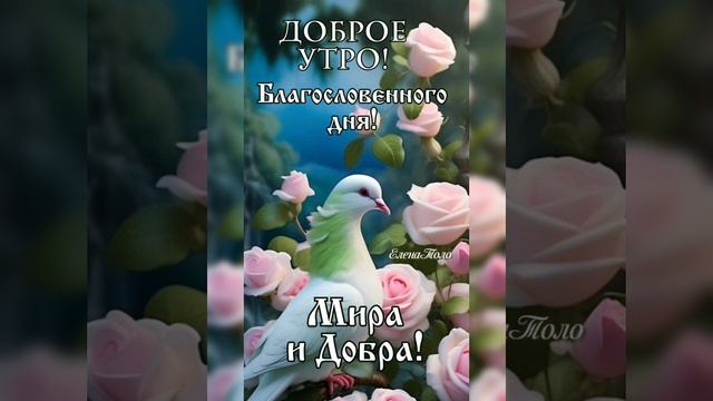 Мирного Доброго утра 😘🥰 смотреть онлайн