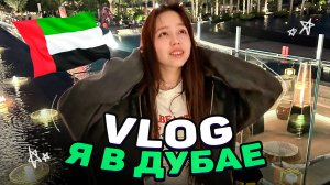 Остановились в самом крутом отеле Дубая. Влог