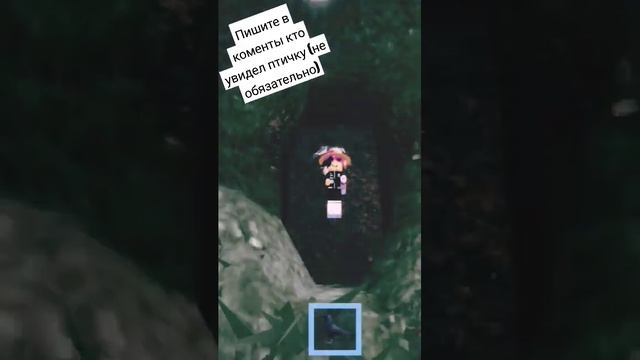 Милая ворона карта: the rain смотреть онлайн