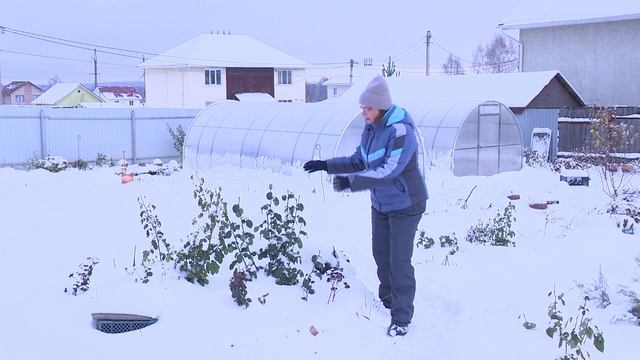 Календарь садовода 04.11.2023 смотреть онлайн
