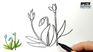 Как нарисовать ПОДСНЕЖНИКИ, Простые рисунки