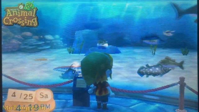 EVOLUTION of COELACANTHS in ANIMAL CROSSING GAMES and MORE смотреть онлайн