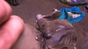 Моторчик дворников Профилактика  (разбираем,смазываем,дифектуем)