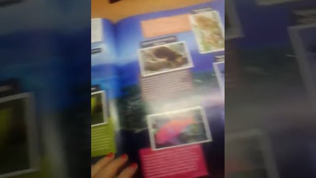 Стикермания(читайте описание) смотреть онлайн