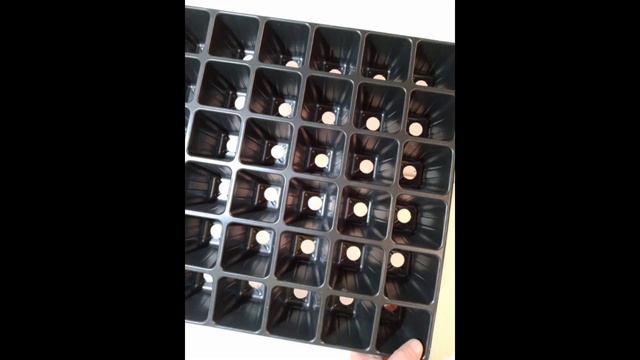 #купитькассетыоптом #рассада #ячейкидлярассады . Кассеты для рассады оптом. 89043433911 смотреть онлайн