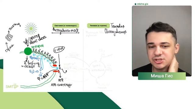 Фотосинтез | Биология с Мишей Гис | ЕГЭ 2023 | SMITUP смотреть онлайн
