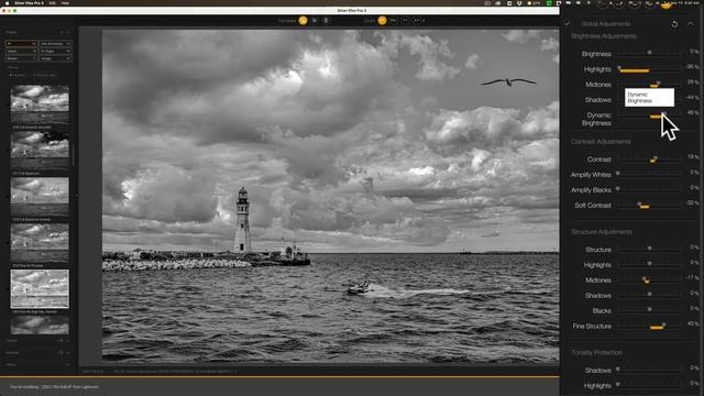 The BEST B&W Editor - Silver Efex Pro 3 смотреть онлайн
