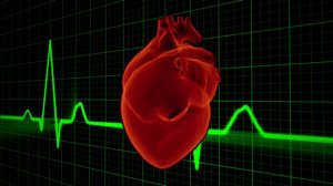 Как стучит сердце у человека видео для детей