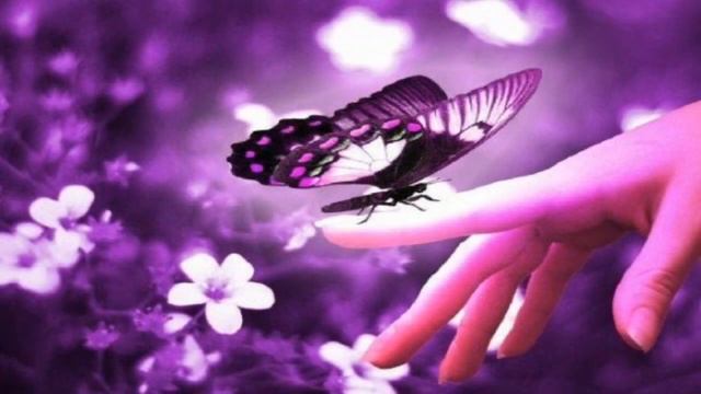 Classic Romantic Songs ♥ Careless Whisper.- George Michael. (Katy Morales FB Collection) смотреть онлайн