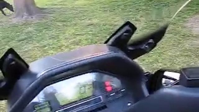 2008 650 Burgman .Best bike/scooter ever! смотреть онлайн