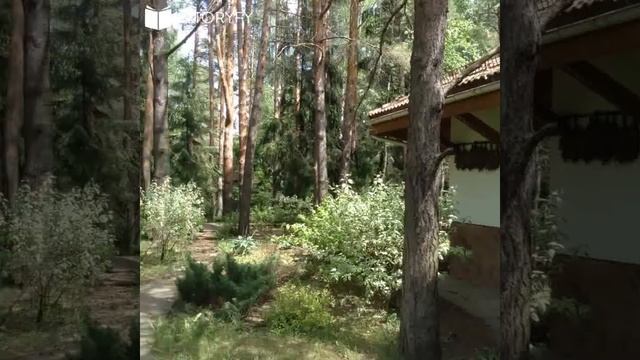 Усадьба 800 кв. м на участке 80 соток ЗВЯГИНО - лес, река, водохранилище смотреть онлайн