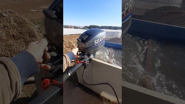 sea pro 9.9 test 16.04.2023 смотреть онлайн
