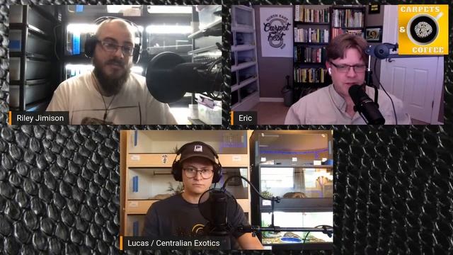 Carpets & Coffee Ep. 14 смотреть онлайн