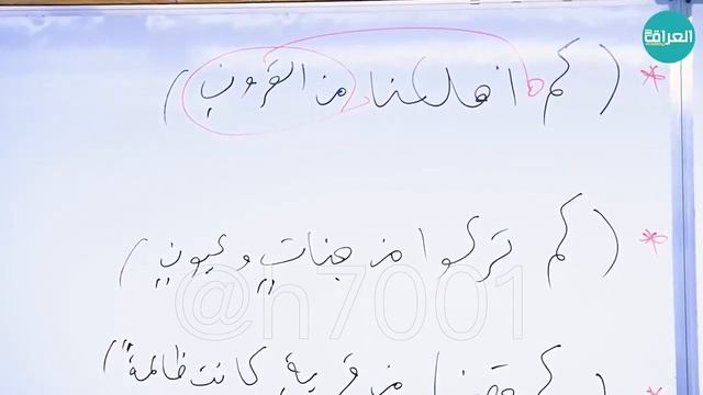 الاستفهام || عقيل الزبيدي || المحاضرة ⦉ 17 ⦊