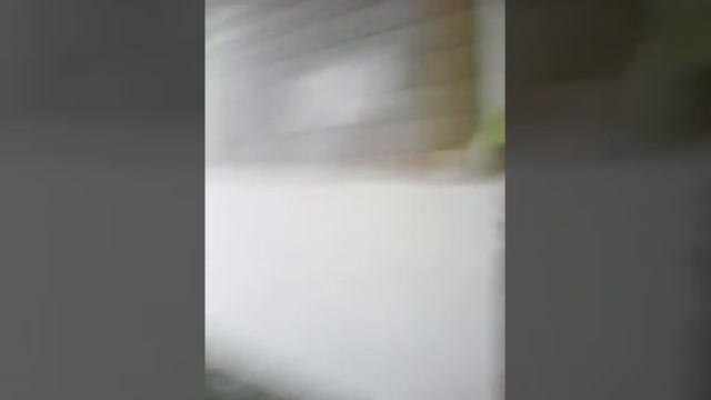 Тунэль смерти смотреть онлайн