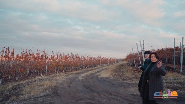 Земля – кормилица. К дню работника сельского хозяйства смотреть онлайн