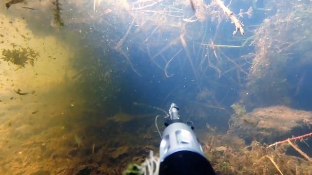 подводный космос (первое погружение: много плотвы, мелкая щучка и огромные мидии) смотреть онлайн