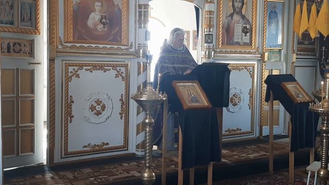 Короновирус есть и его нельзя недооценивать, но бороться с ним можно. смотреть онлайн