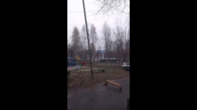 Тюменский крематорий. Тюменцы дышат гарью от сжигаемых 4.2 млн кур, зараженных птичьим гриппом. смотреть онлайн