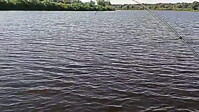Рыбалка на реке Ловать(Сом) смотреть онлайн