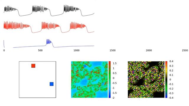 Inhomogeneous 50 x 50 Hindmarsh -Rose model neuron Network. смотреть онлайн