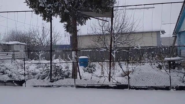 ЗИМНЕЕ УТРО. А. С. ПУШКИН. УЖЕ ПРИШЛА ЗИМА НО МЫ НЕ ЖДАЛИ смотреть онлайн