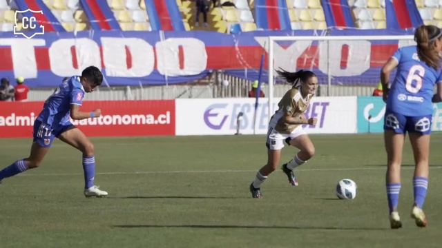 ⭐️🏆 𝐄𝐓𝐄𝐑𝐍𝐀𝐒 𝐂𝐀𝐌𝐏𝐄𝐎𝐍𝐀𝐒: ¡Llegó La 14!