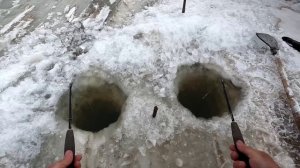 Что он творит!!! Наловил целую гору щуки!