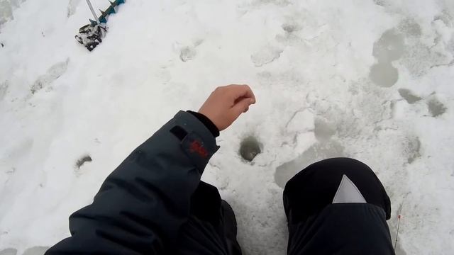 Закрытия зимний рыбалки в Десногорске !!! 21.03.2021 г смотреть онлайн