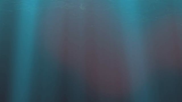 Dr. Felix Lenz: Terrence Malicks "Tree of life" oder Sedimente des Bildes im zeitlichen Verlauf смотреть онлайн