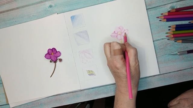 Фиалочка цветными карандашами. Для начинающих. смотреть онлайн