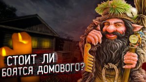 Стоит ли БОЯТЬСЯ ДОМОВОГО?