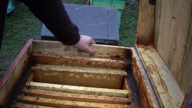 О гибели пчёл подсказывала осень! Потеря пчел на пасеке. смотреть онлайн