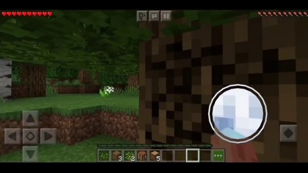 Minecraft Java Edition VS Minecraft Pocket Edition | java vs pe