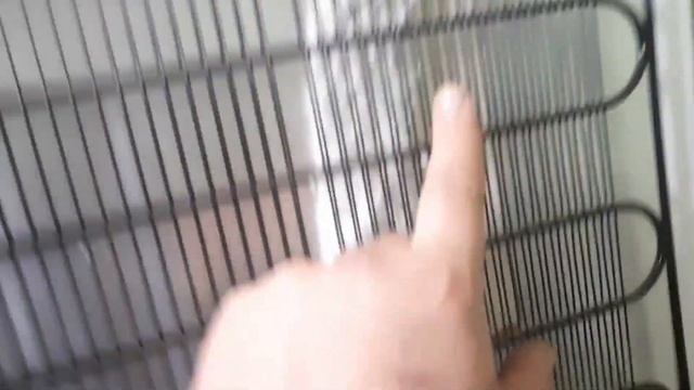 Холодильник vestfrost ошибка Sr ремонтируем (часть 2) смотреть онлайн