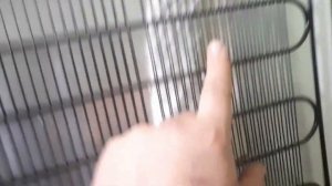 Холодильник vestfrost ошибка Sr ремонтируем (часть 2)