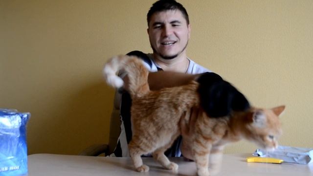 Посылки с aliexpress (Ништяки из Китая) смотреть онлайн