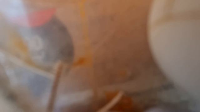 Домашний ужин для друзей 